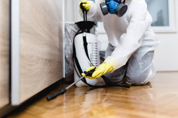 Best Exterminator Services  in Johnstonville, CA
