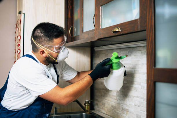 Best Mosquito Control Services  in Johnstonville, CA