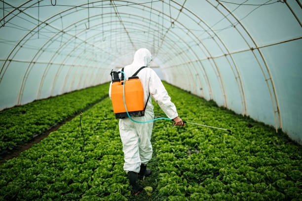 Best Pest Control for Businesses  in Johnstonville, CA