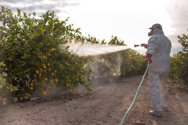 Best Affordable Pest Control Services  in Johnstonville, CA
