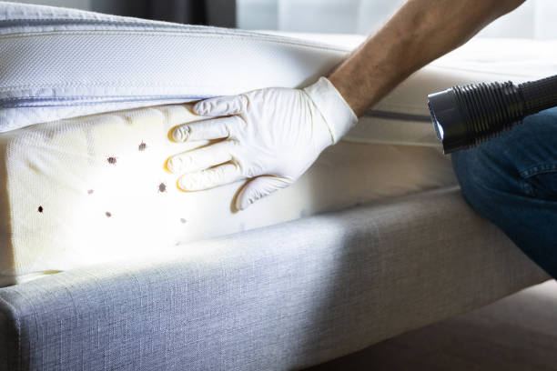 Best Pest Control Near Me  in Johnstonville, CA