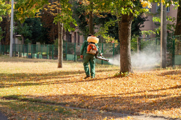 Best Rat Extermination Near Me  in Johnstonville, CA