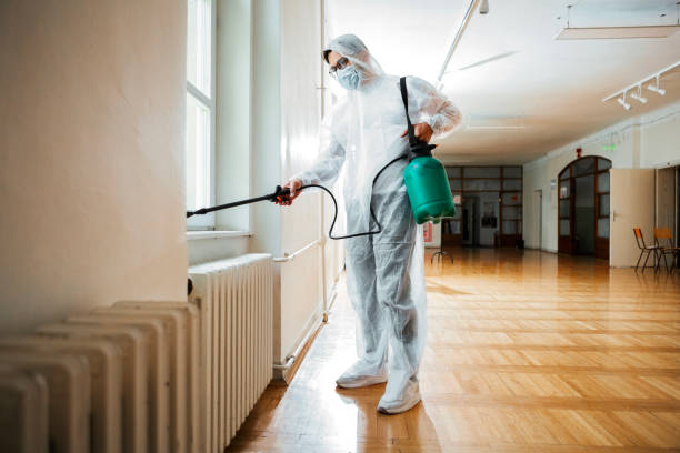 Reliable Johnstonville, CA Pest Control Solutions