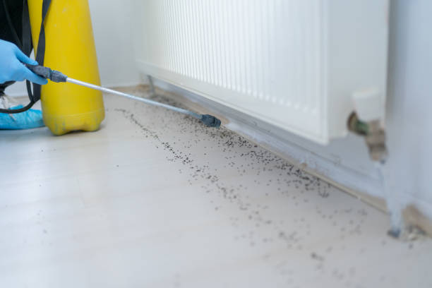 Best Pest Removal Services  in Johnstonville, CA