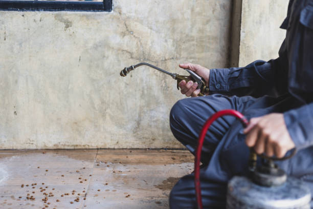 Flea Control Services in Johnstonville, CA