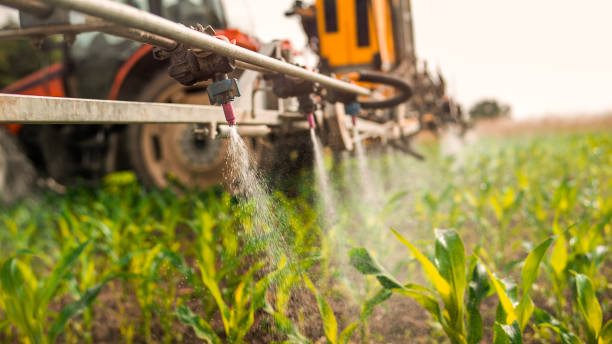 Best Ant Control Services  in Johnstonville, CA