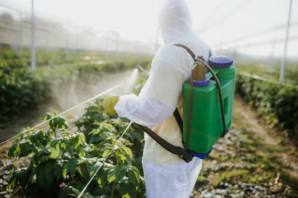 Best Pest Inspection Near Me  in Johnstonville, CA